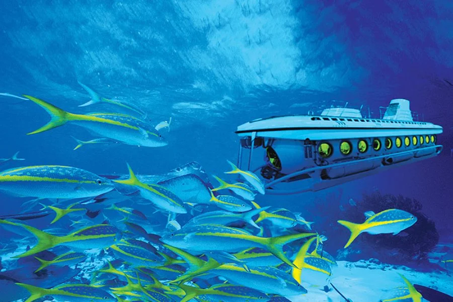 El Gouna Tour