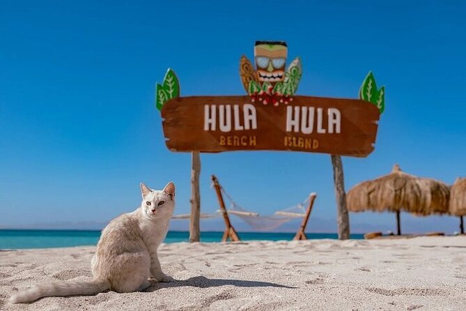 Hula Hula Paradise Island