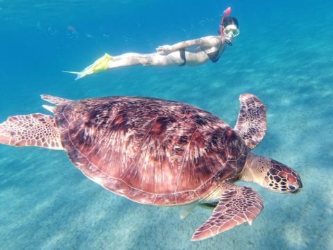 Batiskaf Snorkeling