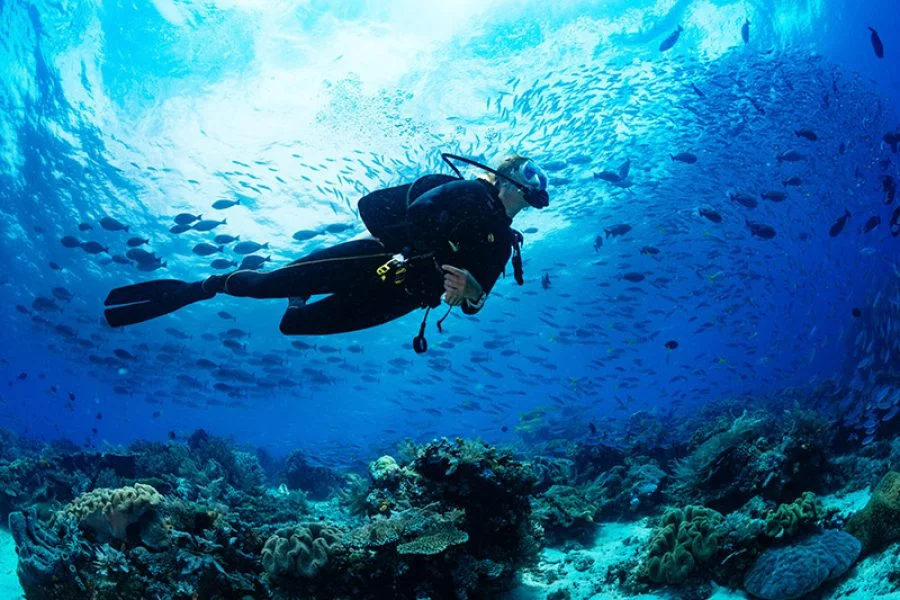 Diving in Hurghada