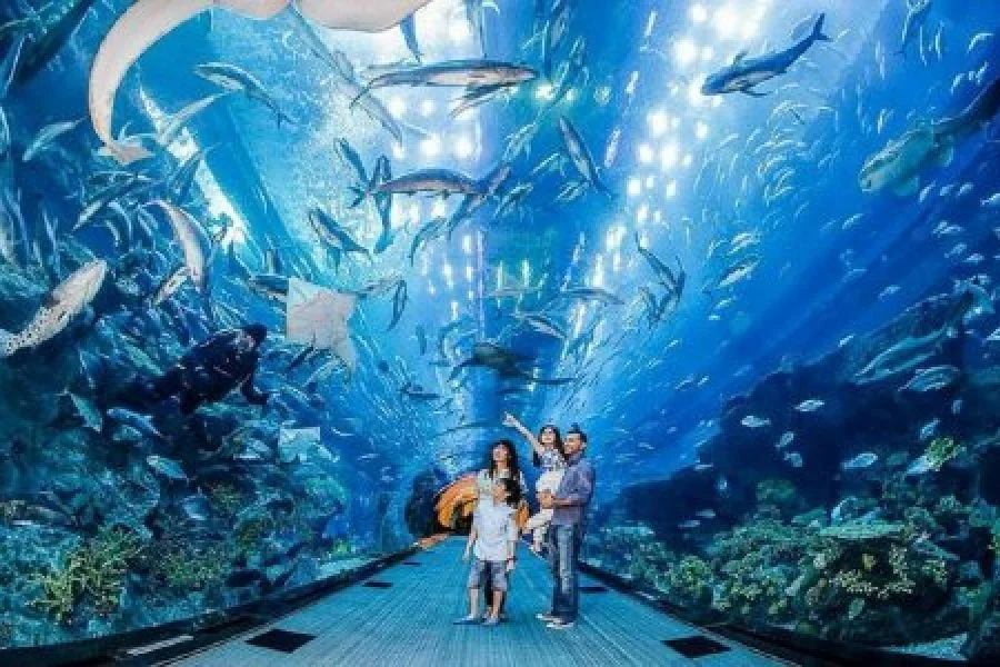 Grand Aquarium Hurghada