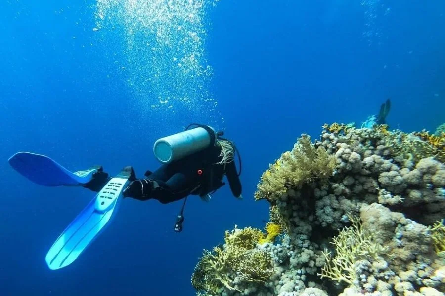 Batiskaf Snorkeling